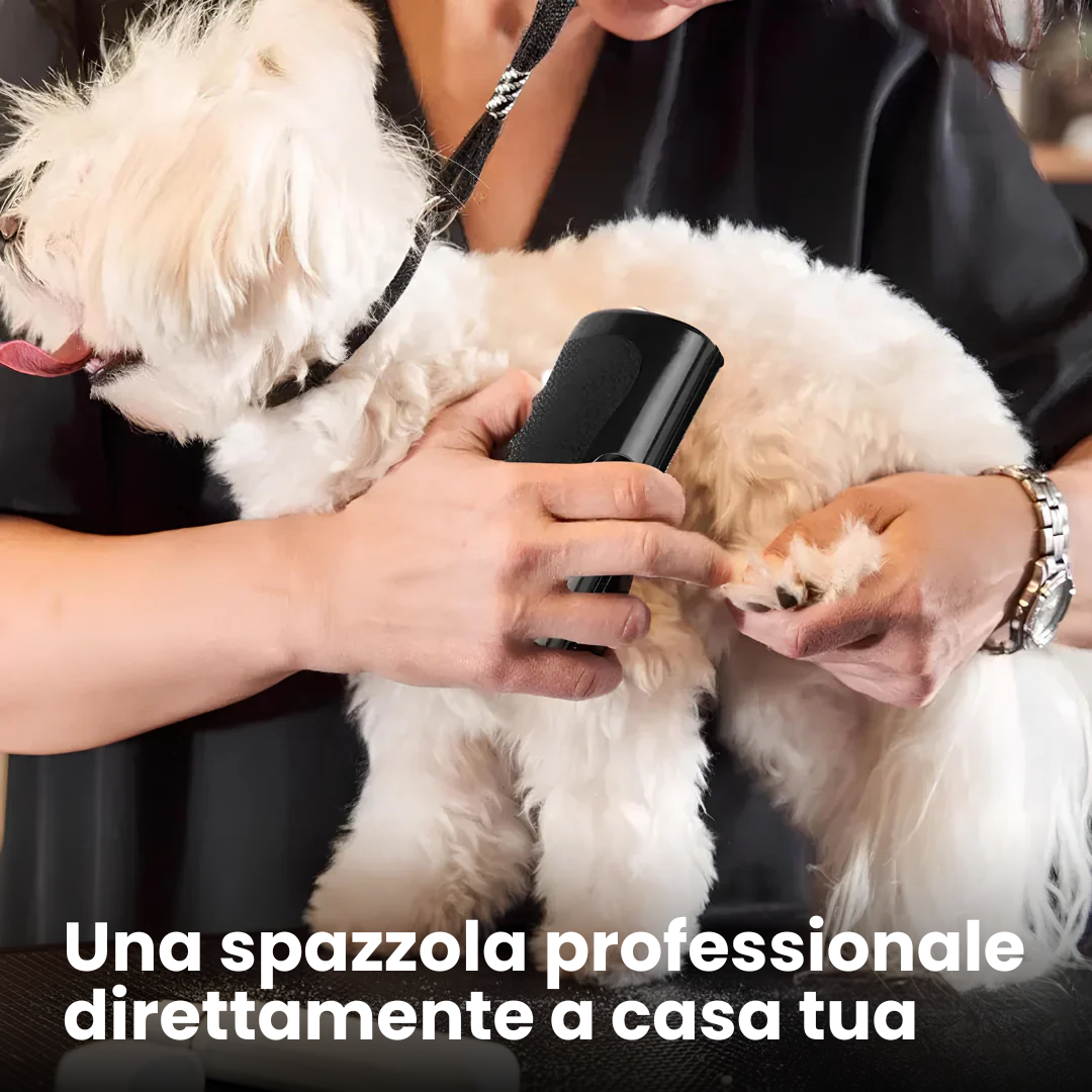 SpazzolaPro 2.0 anti-peli
