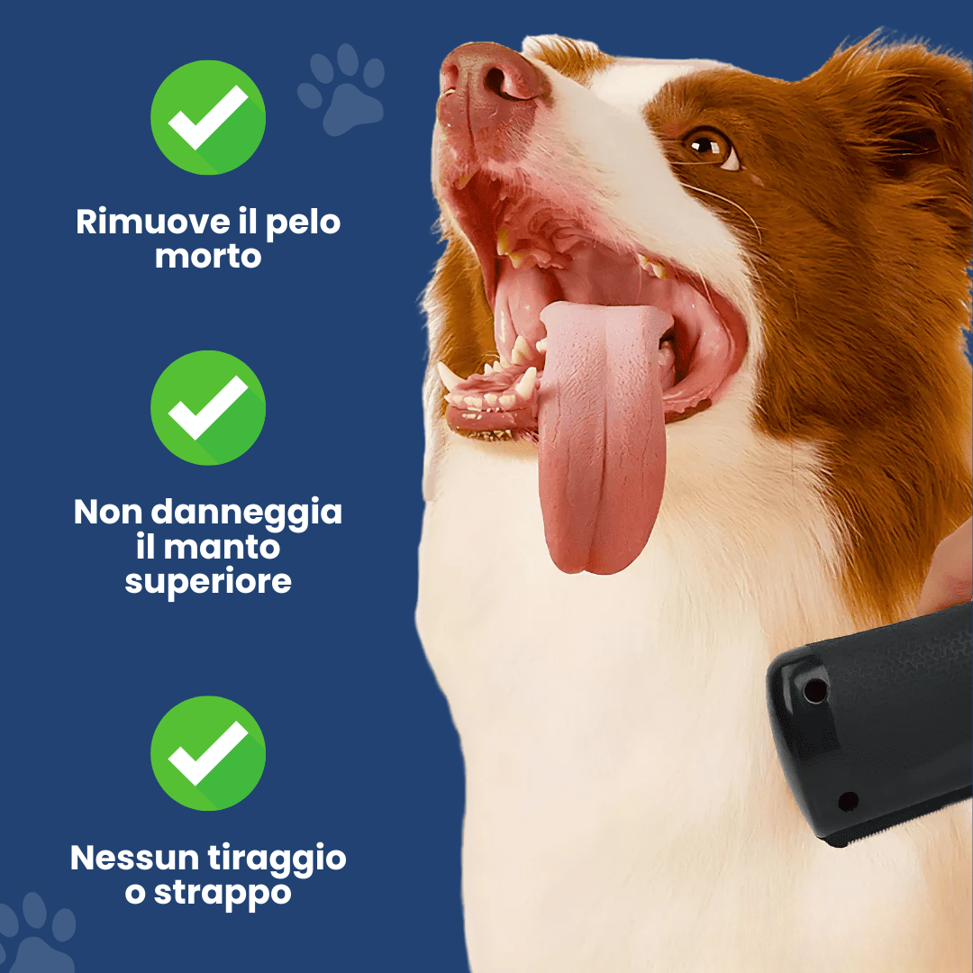 SpazzolaPro 2.0 anti-peli