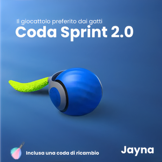 Coda Sprint 2.0
